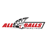 Kit rodamientos de basculante ALL BALLS- motoscamaralweb.com