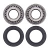 Kit de rodamientos de rueda trasera ALL BALLS - motoscamaralweb.com
