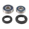 Kit de rodamientos de rueda trasera ALL BALLS - motoscamaralweb.com