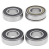 Kit de rodamientos de rueda trasera ALL BALLS - motoscamaralweb.com