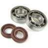 Kit de rodamientos y retenes de cigüeñal CENTAURO - motoscamaralweb.com