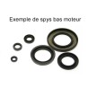 Kit de retenes de cigüeñal CENTAURO - motoscamaralweb.com