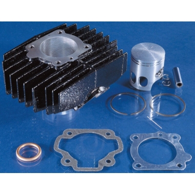Kit de cilindro POLINI hierro Ø46mm - motoscamaralweb.com