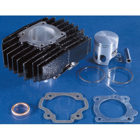 Kit de cilindro POLINI hierro Ø46mm - motoscamaralweb.com