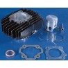 Kit de cilindro POLINI hierro Ø46mm - motoscamaralweb.com