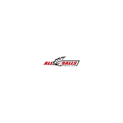 Kit de rodamientos de rueda trasera ALL BALLS - motoscamaralweb.com