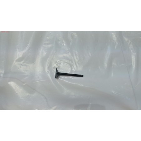 VALVULA ESC GY 150WS 15HP- motoscamaralweb.com