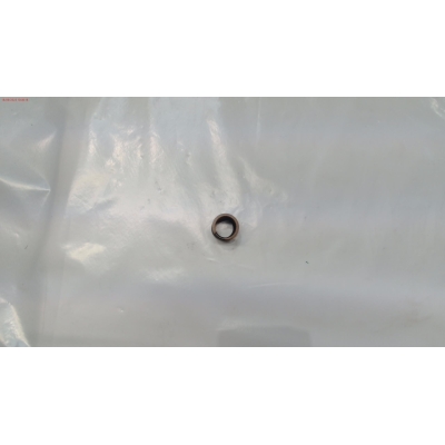 MUELLE VALVULA GY 150WS 15HP- motoscamaralweb.com