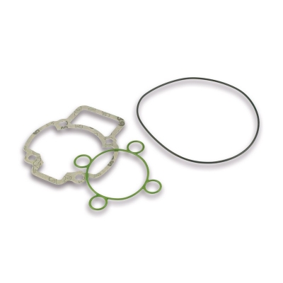 Kit completo juntas Malossi para grupo térmico Ø 47 - motoscamaralweb.com