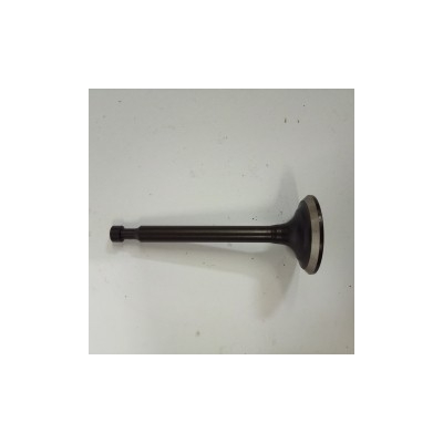 VALVULA ESCAPE MOTOR GOODYEAR GY210- motoscamaralweb.com