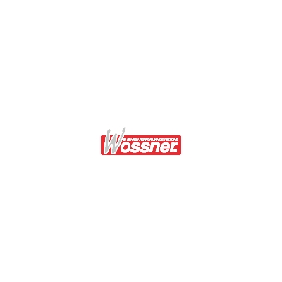 PISTON RING - motoscamaralweb.com