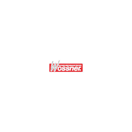 PISTON RING - motoscamaralweb.com