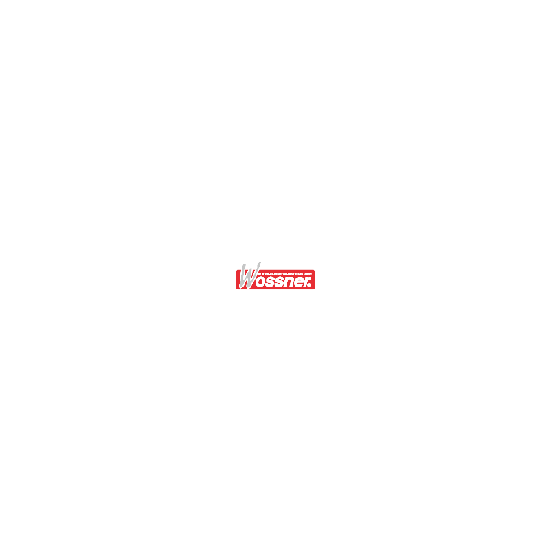 PISTON RING - motoscamaralweb.com