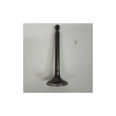 VALVULA ADMISION GY270/300- motoscamaralweb.com