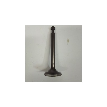 VALVULA ADMISION GY270/300- motoscamaralweb.com