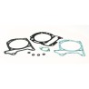Kit de juntas parte alta para 051101 X9/X8/X7/MP3 NEXUS 180 Malossi 1113960B - motoscamaralweb.com