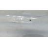 TORNILLO M4X10 GY 5500E/7000- motoscamaralweb.com