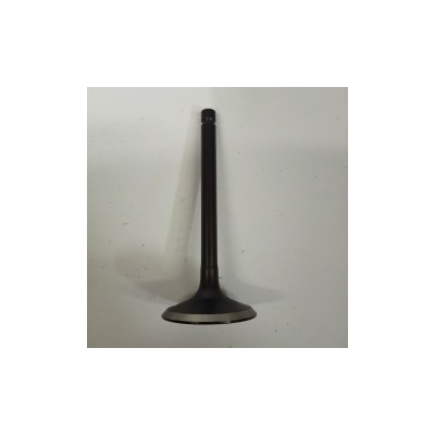 VALVULA ESCAPE GY5500G/AE- motoscamaralweb.com