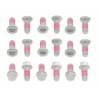 Kit tornillos de disco de freno Bolt SUZ RM125/250 para disco delantero y trasero - motoscamaralweb.com