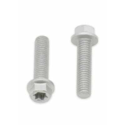 Tornillos con cabeza hexagonal/Torx BOLT M6 x 1.00 x 25mm - motoscamaralweb.com