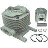 KIT CILINDRO AD SHINDAIWA C35 DIAM... 36MM- motoscamaralweb.com
