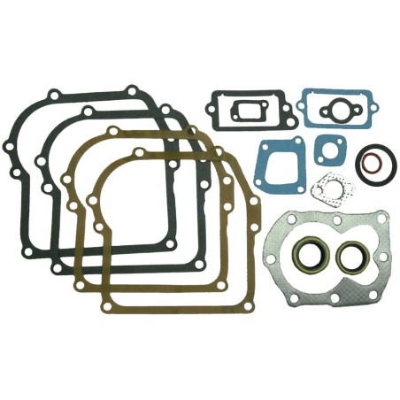 KIT JUNTAS AD BRIGGS (REF.ORIG. 699933)- motoscamaralweb.com