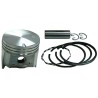 KIT PISTON C/PIN &amp;CLIPS ¬IT ANILLOS CROMADOS AD BRIGGS (REF.ORIG. 3903