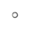 PIÑON CAMPANA EMBRAGUE 0.325'NTES OD 31.70 X IS 19.60 AD STIHL- motosc