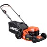 Cortacésped DLM 310/46P- motoscamaralweb.com