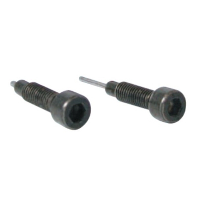 Set dos tornillos de recambio para herramienta cadenas distribución BUZZETTI - motoscamaralweb.com