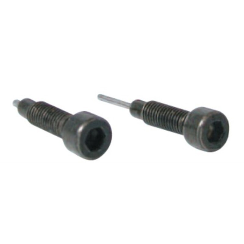 Set dos tornillos de recambio para herramienta cadenas distribución BUZZETTI - motoscamaralweb.com Set dos tornillos de recambio para herramienta cadenas distribución BUZZETTI - motoscamaralweb.com