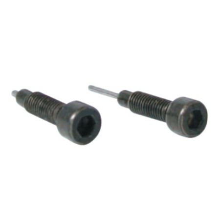 Set dos tornillos de recambio para herramienta cadenas distribución BUZZETTI - motoscamaralweb.com