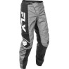 Pantalón FLY RACING F-16 - Gris / Negro / Blanco - motoscamaralweb.com