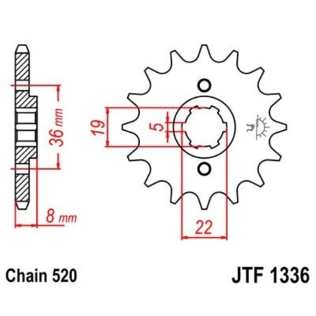 Piñon JT 1336 de acero con 13 dientes - motoscamaralweb.com
