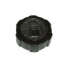 TAPON DEPOSITO COMBUSTIBLE AD BRIGGS. JD- motoscamaralweb.com