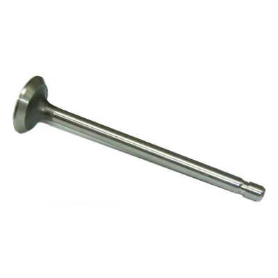 VALVULA ESCAPE AD BRIGGS 10 HP- motoscamaralweb.com