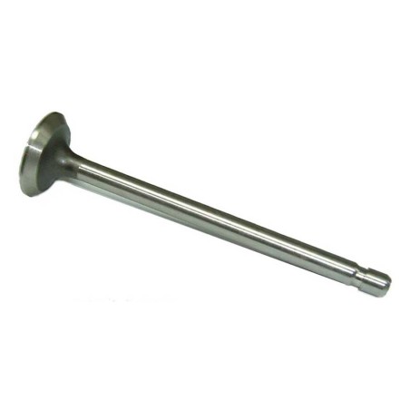 VALVULA ESCAPE AD BRIGGS 10 HP- motoscamaralweb.com
