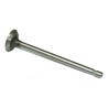 VALVULA ESCAPE AD BRIGGS 10 HP- motoscamaralweb.com
