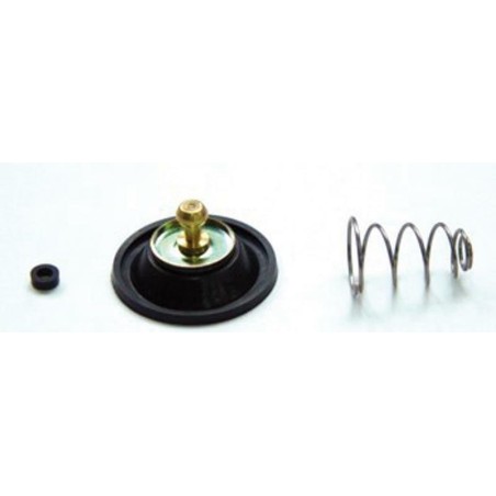 Kit Reparación bomba de enriquecimiento XL250S/R 80-82 XLS/XR500 79-82 ACV-101 - motoscamaralweb.com