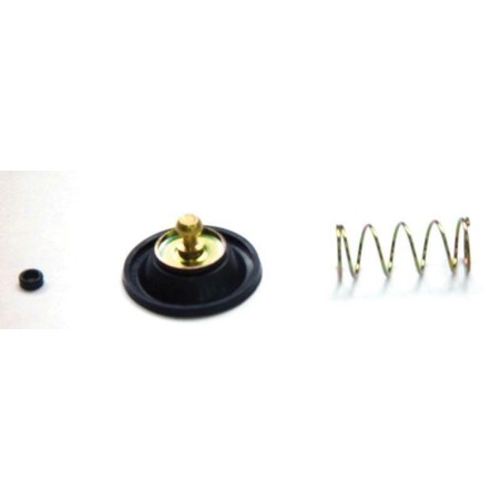 Kit Reparación bomba de enriquecimiento XL250S 78-79 ACV-104 - motoscamaralweb.com
