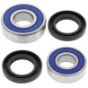 Kit rodamientos de rueda ALL BALLS 25-1217 - motoscamaralweb.com
