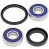 Kit rodamientos de rueda ALL BALLS 25-1604 - motoscamaralweb.com