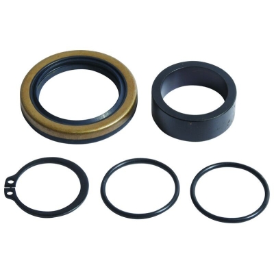 Kit de reparacion piñon de salida ALL BALLS - motoscamaralweb.com