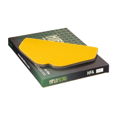 Filtro de aire HIFLOFILTRO - HFA2909 - motoscamaralweb.com
