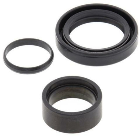 Kit de reparacion piñon de salida ALL BALLS 25-4010 - motoscamaralweb.com