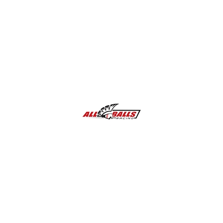 Kit de rodamientos de rueda trasera ALL BALLS - motoscamaralweb.com