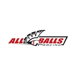 Kit de rodamientos de rueda trasera ALL BALLS - motoscamaralweb.com