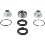 Kit reparacion de cojinetes amortiguador ALL BALLS - motoscamaralweb.com