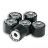 Rodillos de variador MALOSSI 20x17mm 9gr - 6 piezas- motoscamaralweb.c
