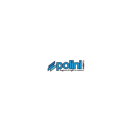Conector POLINI Can para motores UART - motoscamaralweb.com
